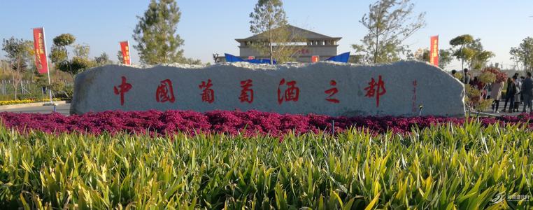 守護(hù)“中國(guó)葡萄酒之都”， 上百臺(tái)優(yōu)測(cè)溫設(shè)備應(yīng)用于新疆瑪納斯縣